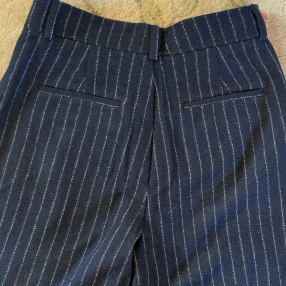EVERLANE The ReWool® Way-High Drape Pinstripe Pant - Picture 9 of 13